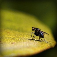 /album/kamenservis/photolia-a07-jpg/